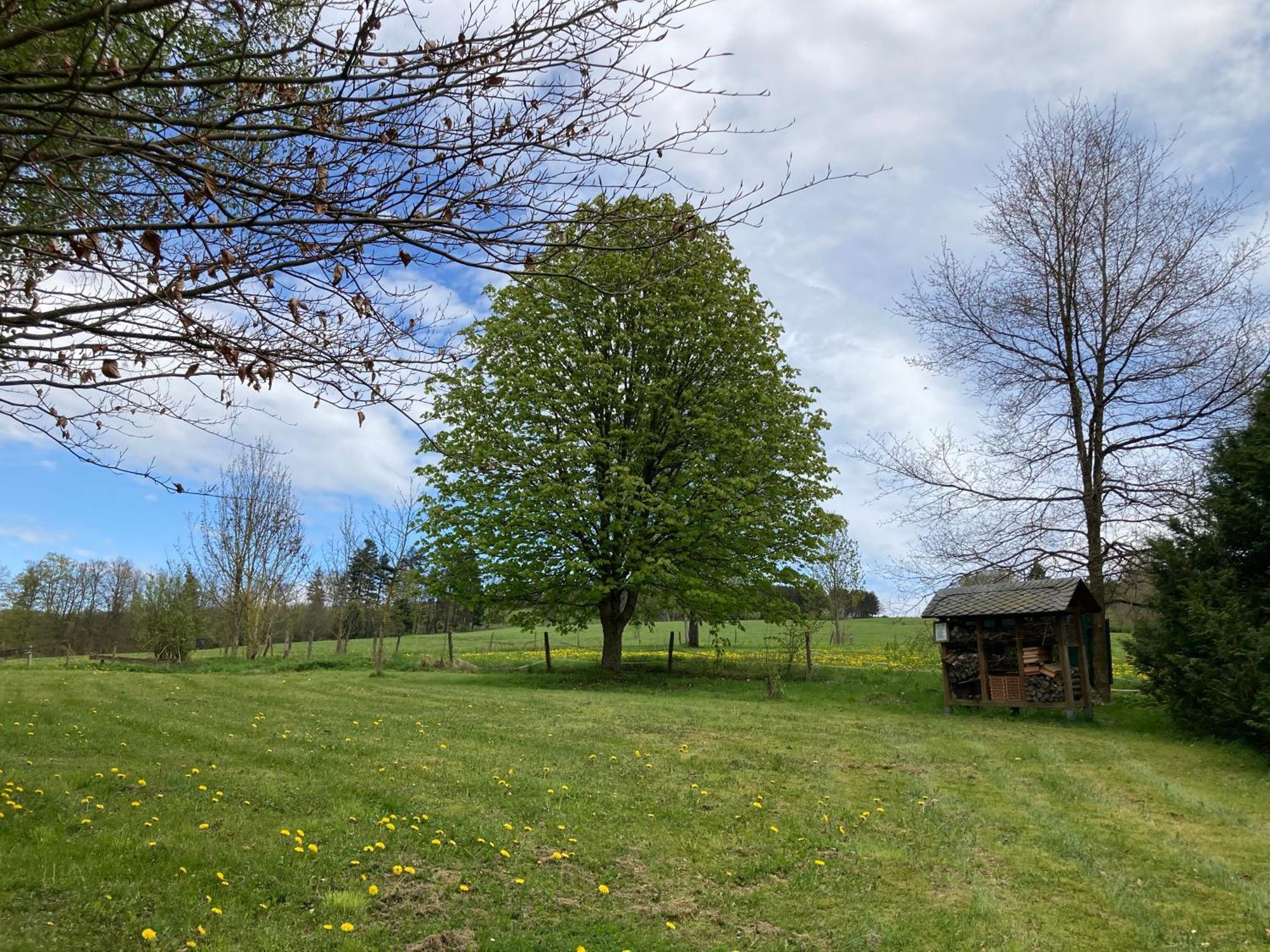 Gasthof Walhalja Schmallenberg Kültér fotó